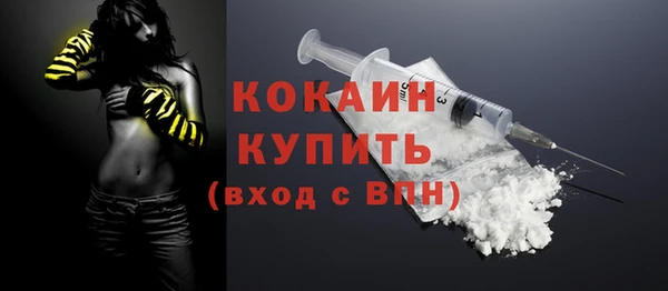 2c-b Горнозаводск