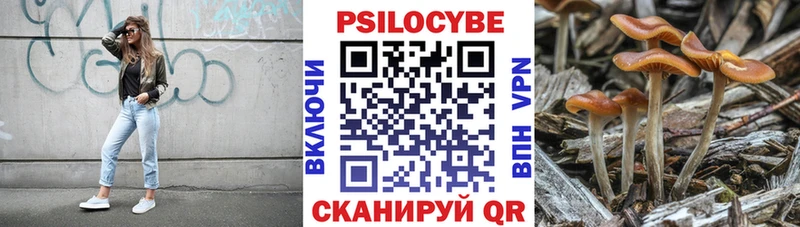 Купить закладки  Райчихинск  Галлюциногенные грибы Cubensis 